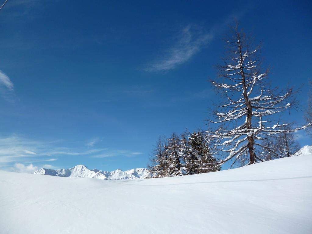 Готель Domina Parco Dello Stelvio Коґоло Екстер'єр фото